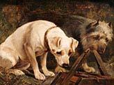 Two Dogs in a Barn